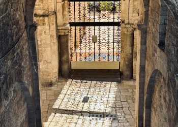 Exclusive Tour: The Best of Bari